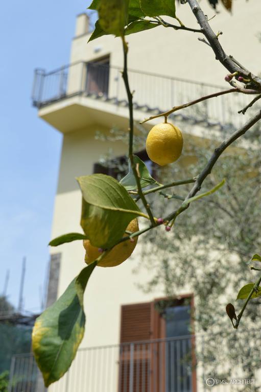 Bed and Breakfast Il Rivolo Sorrento Exteriér fotografie